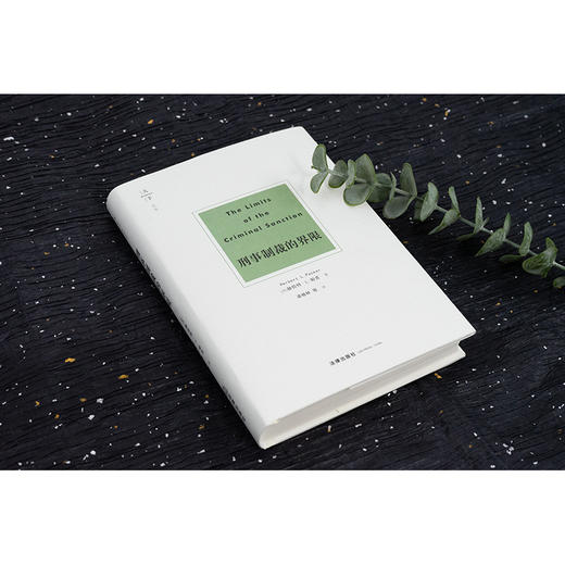 天下·博观 刑事制裁的界限 （美）赫伯特·L.帕克著 梁根林等译 商品图2