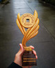 设计定制 实木奖杯奖牌 接受客户来稿定制 商品缩略图6