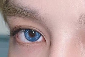 年抛 Deerbell  暹罗猫14.2  着色13.4