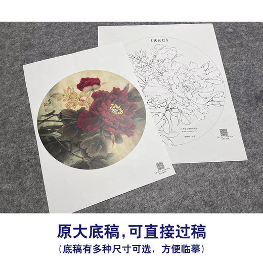 【大彩图】李晓明工笔画白描底稿小品《状元红》牡丹临摹勾线花鸟线稿K018 商品图1