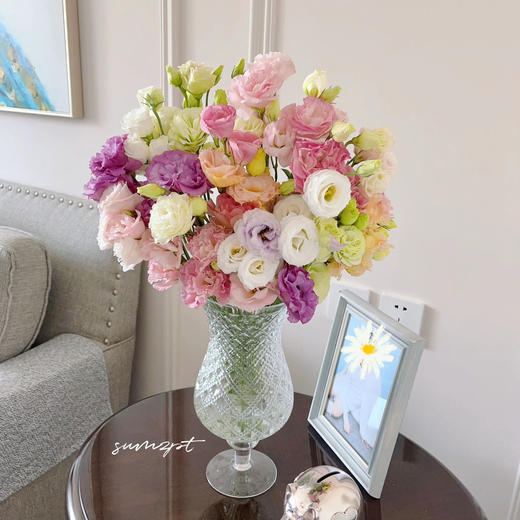 【洋桔梗的快乐】自选品种 商品图0