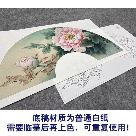 【大彩图】李晓明工笔画白描底稿扇面小品《赵粉》牡丹临摹勾线花鸟线稿K002 商品图3