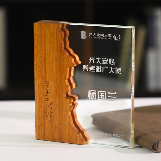 实木水晶奖杯奖牌定制定做创意授权牌抗疫纪念品表彰加盟牌 商品图4