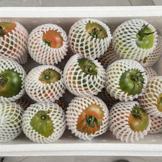 碱地番茄自然熟草莓柿子 5斤装 商品图7