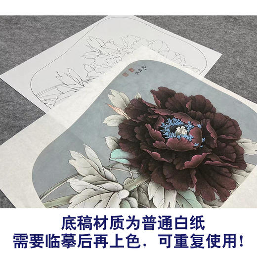 【大彩图】李晓明工笔画白描底稿宫扇《墨花魁》牡丹临摹勾线花鸟线稿K009 商品图3