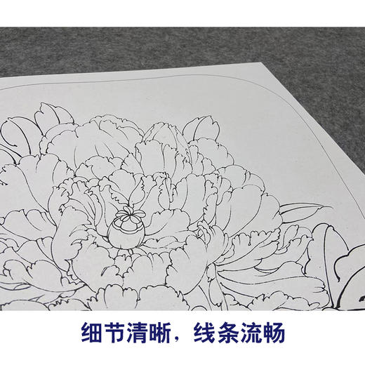 【大彩图】李晓明工笔画白描底稿宫扇《胜丹炉》牡丹临摹勾线花鸟线稿K010 商品图4