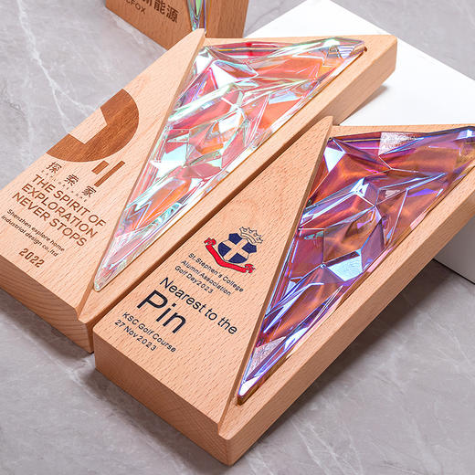 创意实木奖杯定制定做高档树脂奖牌纪念奖座企业颁奖优秀员工刻字 商品图2