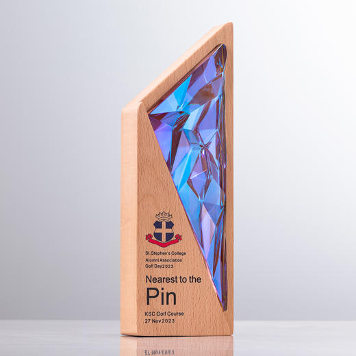 创意实木奖杯定制定做高档树脂奖牌纪念奖座企业颁奖优秀员工刻字 商品图5