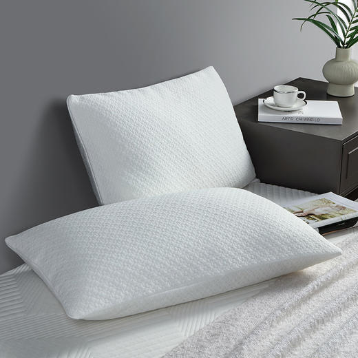 83210002 舒适枕L 商品图5
