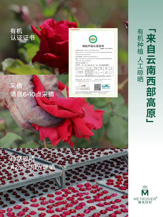 遇见美好玫瑰花盒装 商品图6