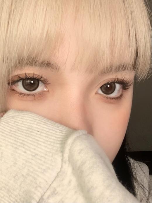 sunnygirl（sunny girl） 美瞳月抛  Y03棕 直径14.5mm着色13.5mm 商品图1