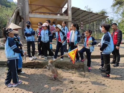 秋季小记者“行走的课堂”系列活动 商品图1