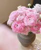 【新花派】成功洋牡丹 -樱花粉 约5枝/扎 商品缩略图0