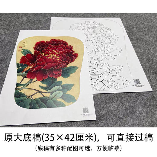 【大彩图】李晓明工笔画白描底稿宫扇《丹如火》牡丹临摹勾线花鸟线稿K008 商品图1