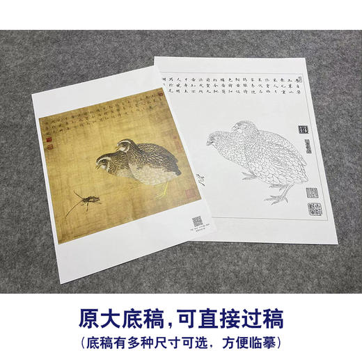 【大彩图】李晓明工笔画白描底稿斗方小品《鹌鹑天牛》临摹勾线动物线稿K054 商品图1