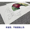 【大彩图】李晓明工笔画白描底稿扇面小品《胡红》牡丹临摹勾线花鸟线稿K004 商品缩略图2