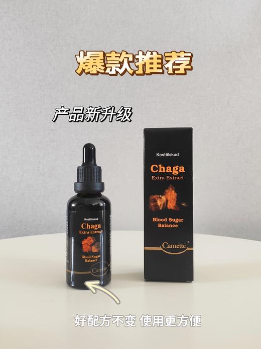 丹麦Camette凯美凯麦特 白桦茸浓缩原液50ml/瓶 商品图1