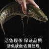 25E何氏蹦蹦鱼免浆黑鱼片 250g/袋 25袋/件 商品缩略图1