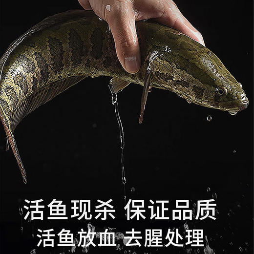 25E何氏蹦蹦鱼免浆黑鱼片 250g/袋 25袋/件 商品图1