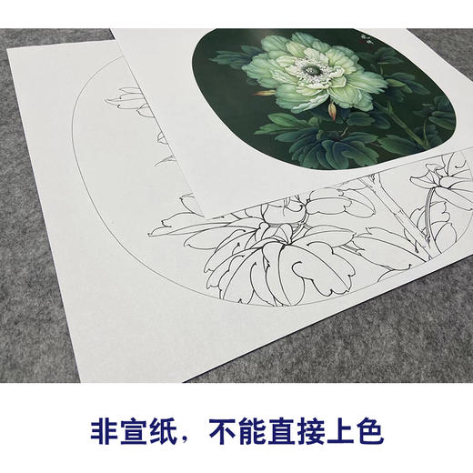 【大彩图】李晓明工笔画白描底稿小品《凤丹白》牡丹临摹勾线花鸟线稿K013 商品图2