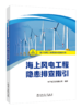 海上风电工程隐患排查指引/海上风电工程安质环管理丛书  商品缩略图0