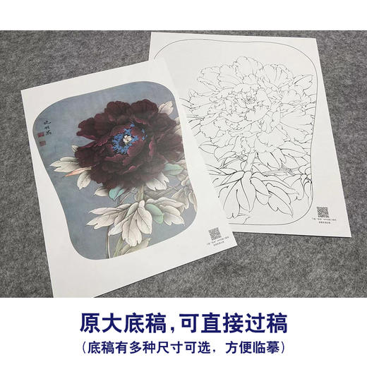 【大彩图】李晓明工笔画白描底稿宫扇《墨花魁》牡丹临摹勾线花鸟线稿K009 商品图1