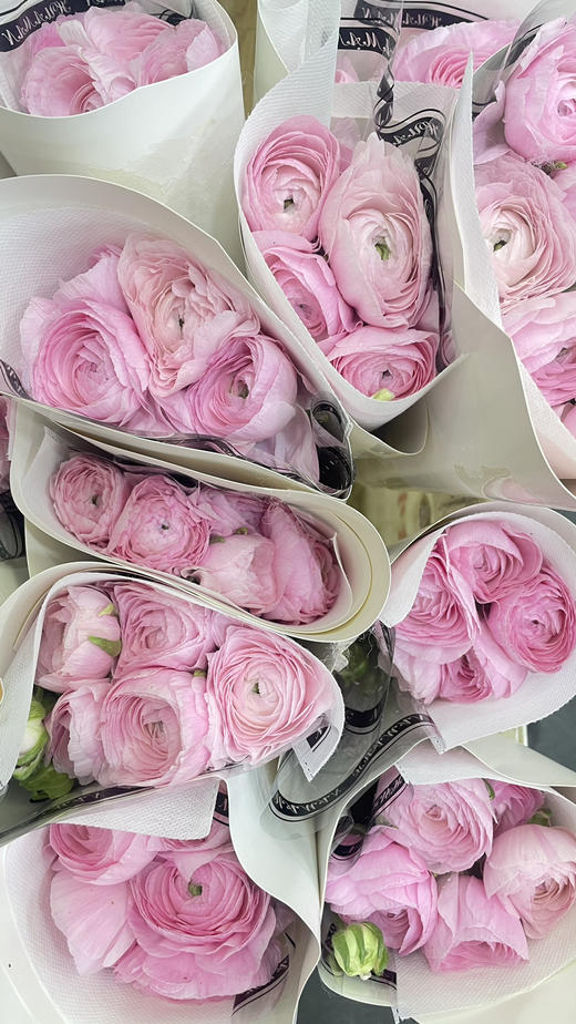 【新花派】成功洋牡丹 -樱花粉 约5枝/扎 商品图8