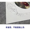 【大彩图】李晓明工笔画白描底稿小品《状元红》牡丹临摹勾线花鸟线稿K018 商品缩略图2