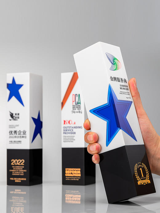2023新款创意树脂水晶奖杯定制定做荣誉优秀员工年会颁奖纪念订做 商品图1