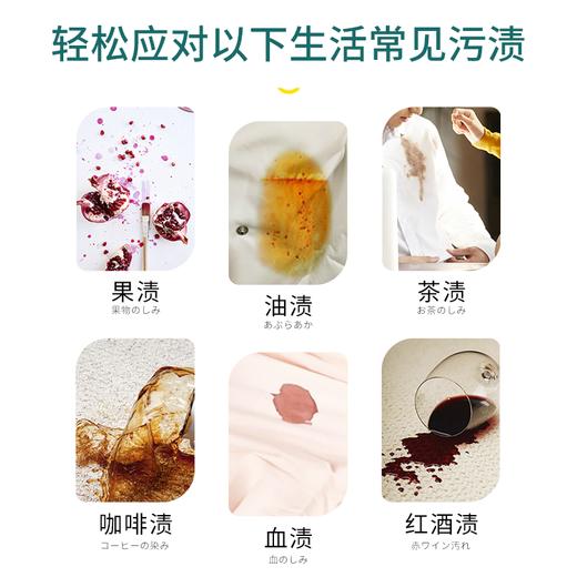 【日化洗护】净狮 羽绒服干洗剂QSH 商品图2