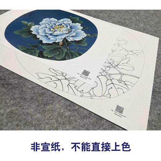【大彩图】李晓明工笔画白描底稿小品《蓝田玉》牡丹临摹勾线花鸟线稿K014 商品图2