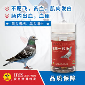 【爱丽丝】驱虫一粒净60粒/体内虫