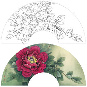 【大彩图】李晓明工笔画白描底稿扇面小品《胡红》牡丹临摹勾线花鸟线稿K004