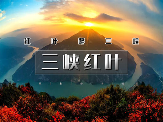 【三峡红叶2日】红叶醉三峡の三峡之巅看夔门漫山红叶“枫”情万种 商品图0