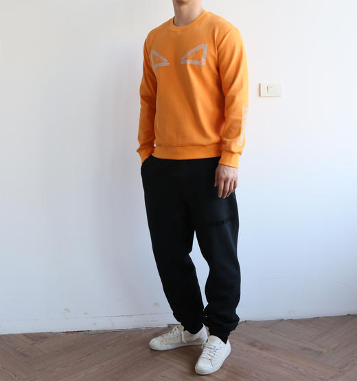 F.D 恶魔之眼 3M反光夜视 斜纹双面针织圆领卫衣 WY747 商品图4