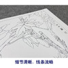 【大彩图】李晓明工笔画白描底稿小品《夜光白》牡丹临摹勾线花鸟线稿K025 商品缩略图4