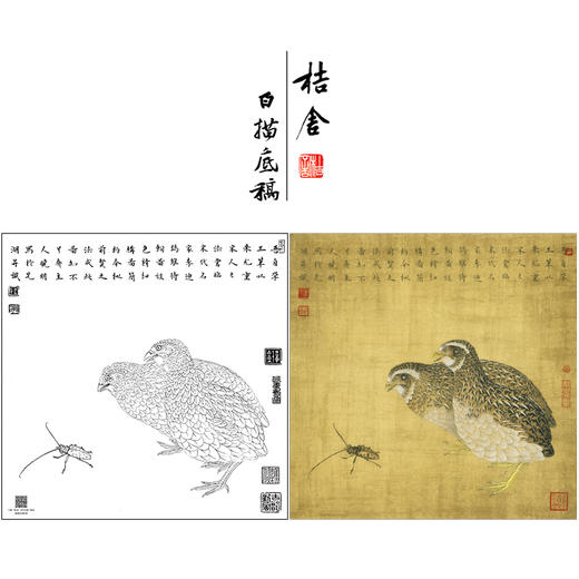 【大彩图】李晓明工笔画白描底稿斗方小品《鹌鹑天牛》临摹勾线动物线稿K054 商品图0