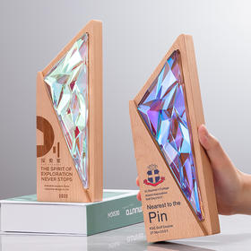 创意实木奖杯定制定做高档树脂奖牌纪念奖座企业颁奖优秀员工刻字