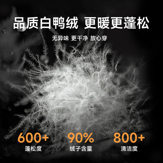 【实体店同款】【新款DPX】大依优型大码立领工装羽绒服90%白鸭绒外套加肥加大肥佬休闲上衣男士胖子时尚 商品图3