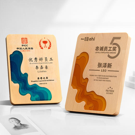 实木创意奖牌定制定做木质授权牌定制表彰奖章荣誉牌匾定 商品图1