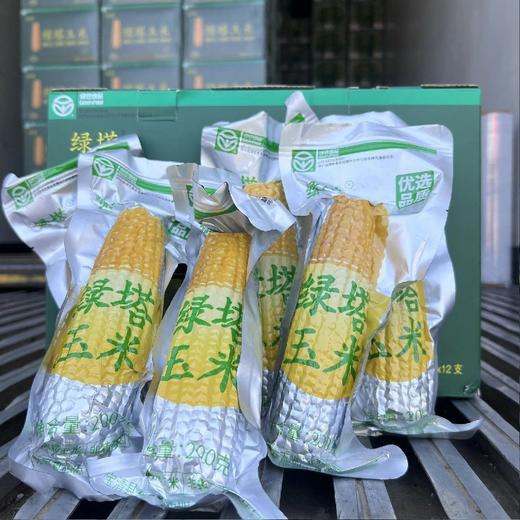 绿塔~甜糯软香玉米 商品图5