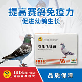 【爱丽丝】益生活性菌(粉剂）50克