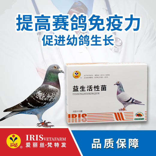 【爱丽丝】益生活性菌(粉剂）50克 商品图0