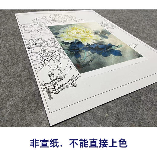 【大彩图】工笔画白描底稿小品《天香夜染衣》牡丹临摹勾线花鸟线稿K032 商品图2