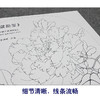 【大彩图】李晓明工笔画白描底稿小品《蓝田玉》牡丹临摹勾线花鸟线稿K014 商品缩略图4