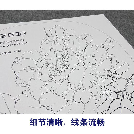 【大彩图】李晓明工笔画白描底稿小品《蓝田玉》牡丹临摹勾线花鸟线稿K014 商品图4