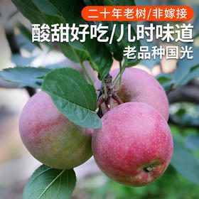 【包邮 密农特色 必买榜单】密农人家  国光苹果  密云山区种植  酸甜可口  3斤/6斤