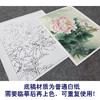 【大彩图】李晓明工笔画白描底稿小品《玉芙蓉》牡丹临摹勾线花鸟线稿K031 商品缩略图3