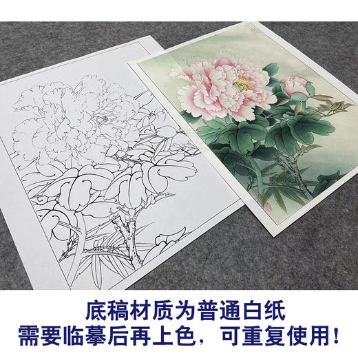 【大彩图】李晓明工笔画白描底稿小品《玉芙蓉》牡丹临摹勾线花鸟线稿K031 商品图3