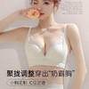 【超温柔！蕾丝聚拢显大收副乳内衣】柔软蕾丝，无钢圈设计，温柔聚拢，让小胸也能坚挺显大；蕾丝美背设计，防下垂，让你拥有美背，原创奶霸杯内衣女小胸聚拢显大收副乳防下垂美背蕾丝无钢圈文胸 商品缩略图0